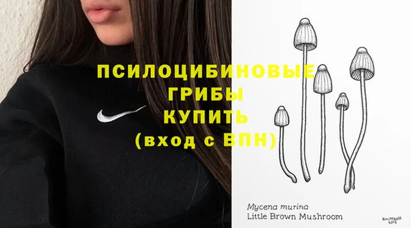 jwh Дмитров