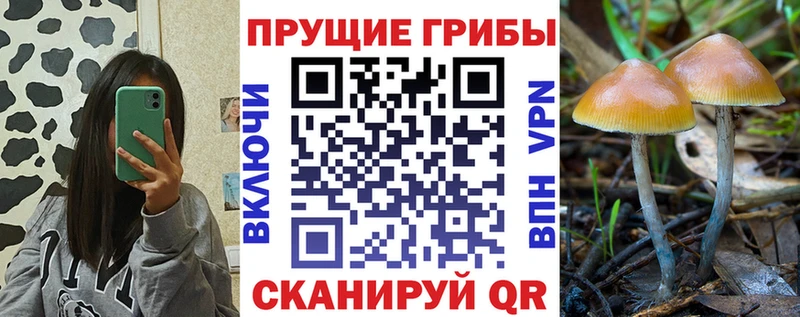 Галлюциногенные грибы мухоморы  МЕГА зеркало  Новое Девяткино  наркошоп 